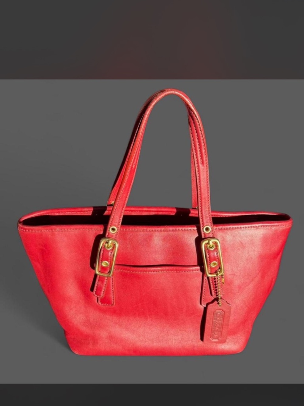 Vintage Y2k Coach Red Leather Hampton Demi Pouch Bag